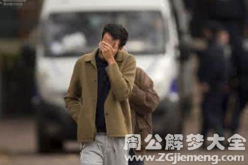 【梦见同事哭】