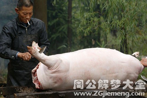 【梦见屠夫在杀猪】