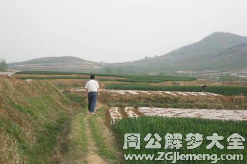 【梦见姐夫回老家】