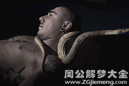 【梦见姐夫被蛇咬】