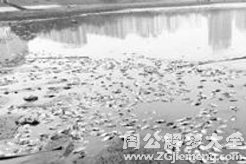 【梦见孕妇梦见捞死鱼】