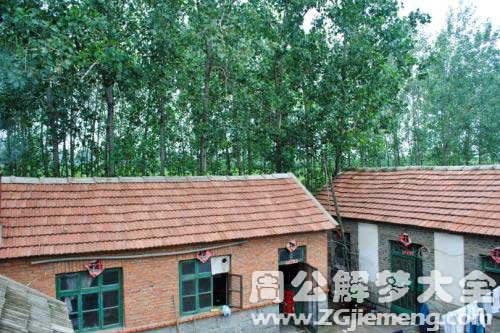 【梦见哥哥家盖房子】