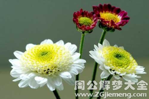 【梦见已故的亲人笑】