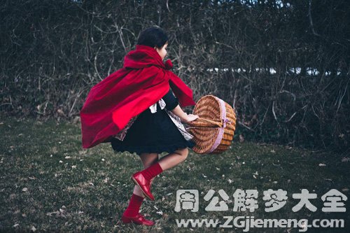 【梦见小红帽摘花】
