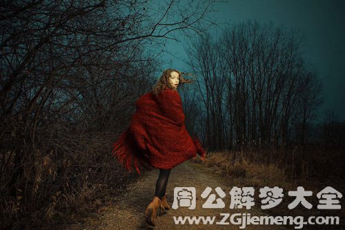 【梦见小红帽向我求救】