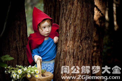 【梦见小红帽与黑森林】