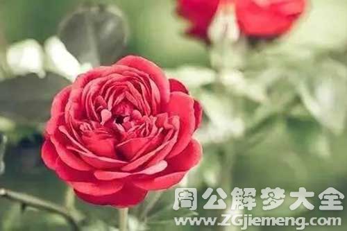 【梦见已故父亲说话】