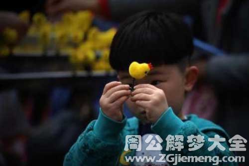 【梦见男孩的小鸡】