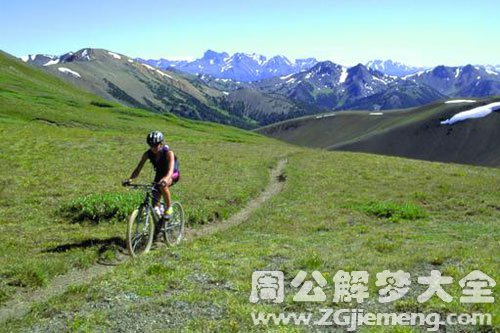 【梦见自己在野外】