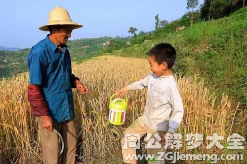 【梦见父母干活】