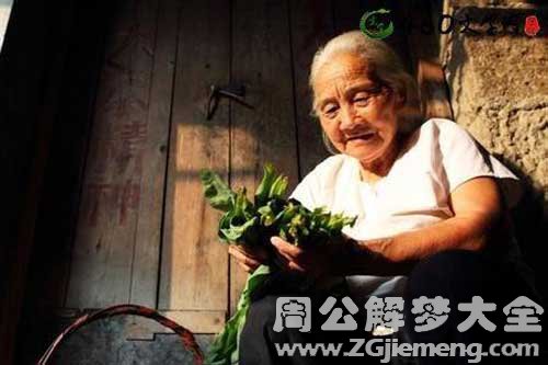 【梦见奶奶在干活】