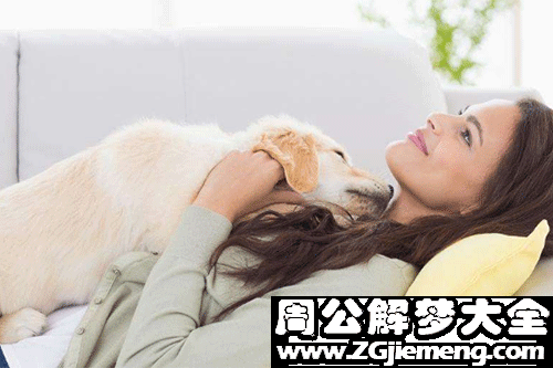 【梦见自己躺着】