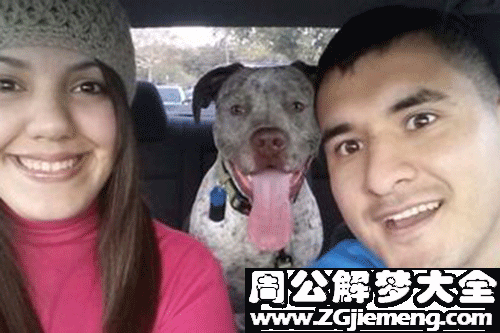 【梦见前男友打架】