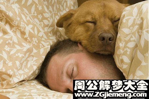 【梦见和朋友睡觉】