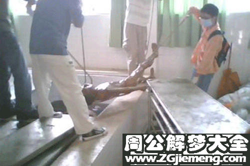 【梦见死人很臭】