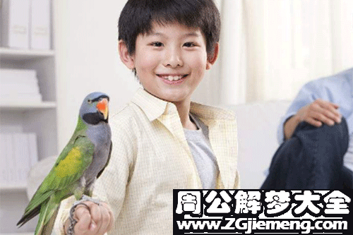 【梦见我的儿子】