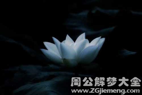 【梦见自己杀了妈妈】