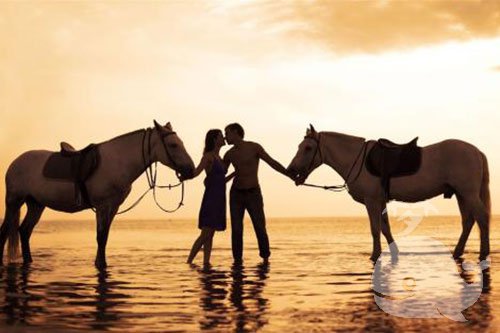 【梦见与情人在一起】