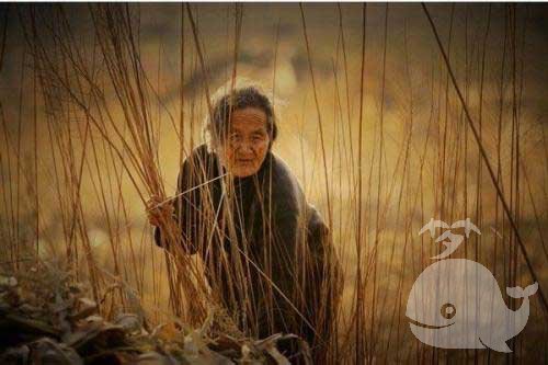 【梦见母亲去世又复活】