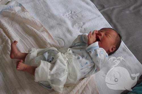 【梦见孩子生出来死了】