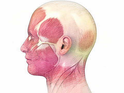 梦见头、脑袋　周公解梦之梦到头、脑袋