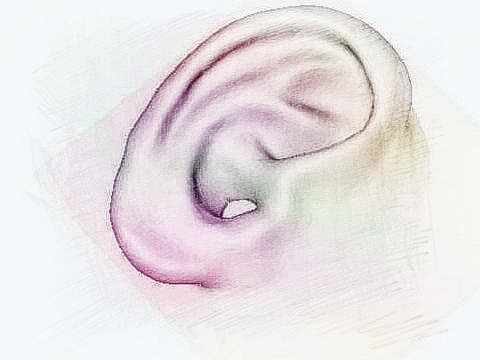 梦见耳朵　周公解梦之梦到耳朵