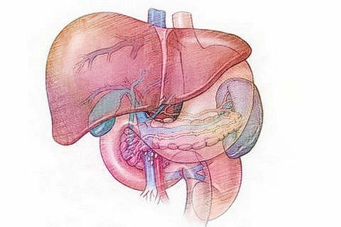 梦见割内脏　周公解梦之梦到割内脏