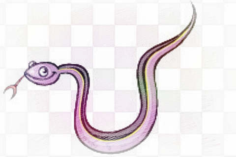 梦见黄蟒蛇　周公解梦之梦到黄蟒蛇