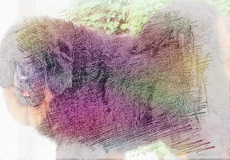 梦见长虱子　周公解梦之梦到长虱子