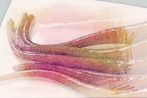 梦见猪尾巴　周公解梦之梦到猪尾巴