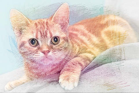 梦见掉毛　周公解梦之梦到掉毛