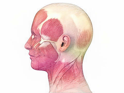 梦见头　周公解梦之梦到头