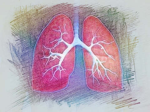 梦见肺　周公解梦之梦到肺