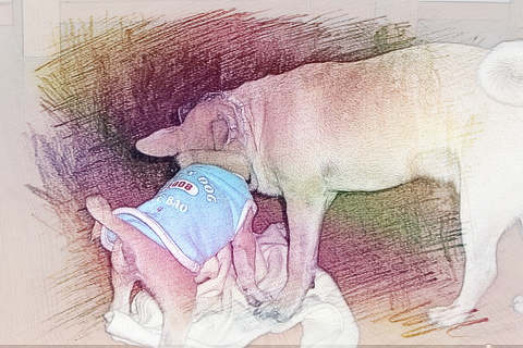 梦见狗咬耳朵　周公解梦之梦到狗咬耳朵