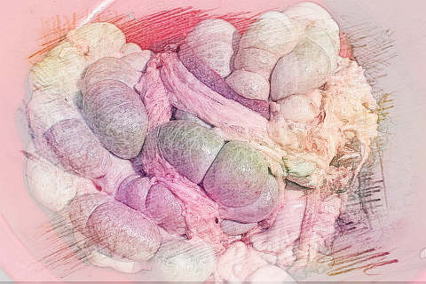 梦见猪内脏　周公解梦之梦到猪内脏