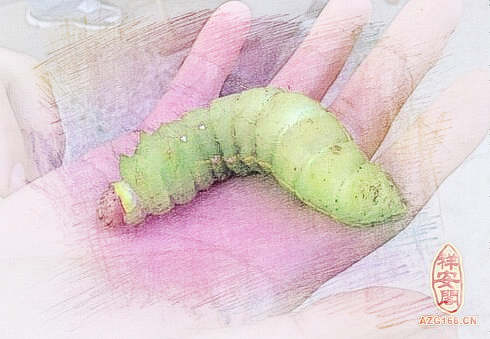 梦见大便有虫　周公解梦之梦到大便有虫