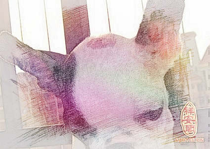 梦见头顶变秃　周公解梦之梦到头顶变秃