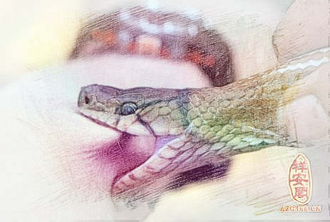 梦见被蛇咬了　周公解梦之梦到被蛇咬了