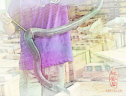 梦见被蛇咬背　周公解梦之梦到被蛇咬背