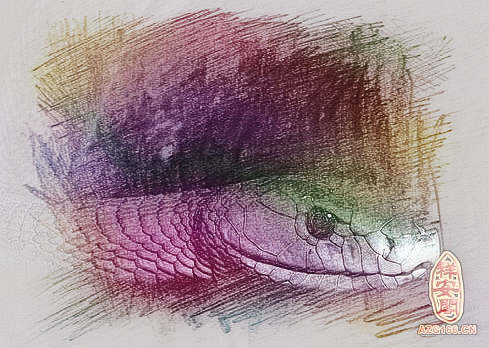 梦见蛇咬流血　周公解梦之梦到蛇咬流血