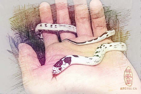 梦见蛇咬手指　周公解梦之梦到蛇咬手指