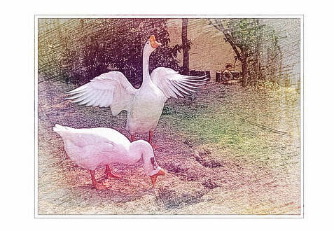 梦见掉了大牙　周公解梦之梦到掉了大牙