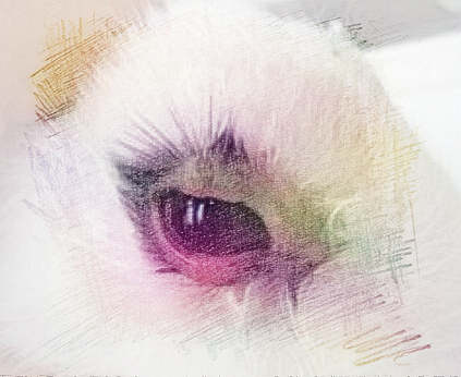 梦见眼睛流脓　周公解梦之梦到眼睛流脓