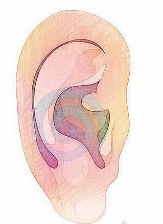 梦见冻耳朵　周公解梦之梦到冻耳朵