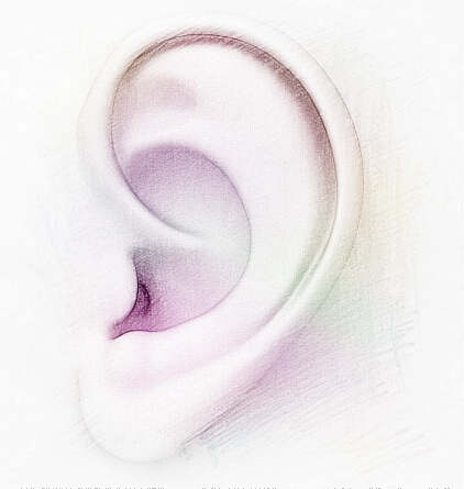 梦见耳朵堵住　周公解梦之梦到耳朵堵住