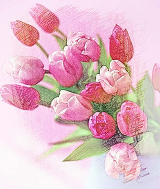 梦见各色花　周公解梦之梦到各色花