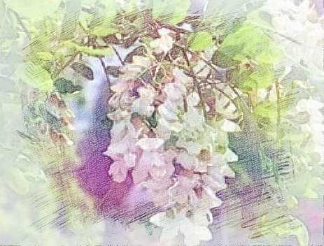 梦见给花浇水　周公解梦之梦到给花浇水