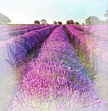 梦见花好不好　周公解梦之梦到花好不好