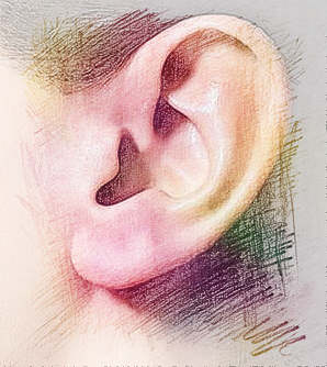 梦见耳朵有肉　周公解梦之梦到耳朵有肉