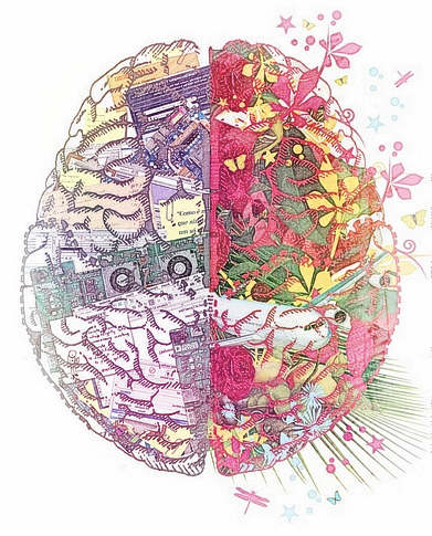 梦见脑子、大脑　周公解梦之梦到脑子、大脑